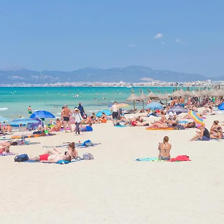 Son Veri Vell *